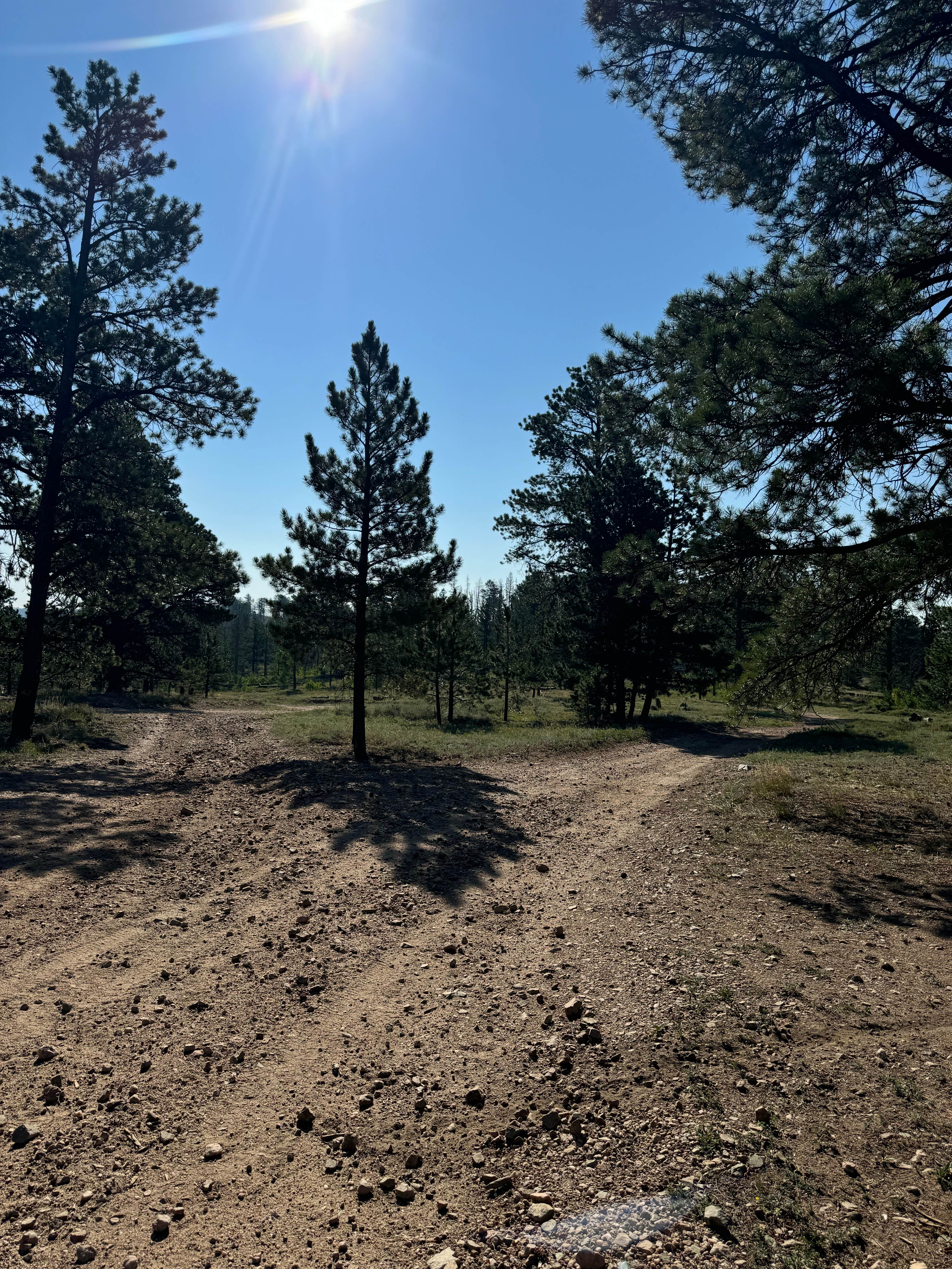 Camper-submitted photo at Manhattan Road Dispersed Camping & OHV near Arapaho & Roosevelt National Forests Pawnee NG