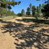 Review photo of Manhattan Road Dispersed Camping & OHV by Veronica G., July 31, 2024