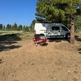 Review photo of Manhattan Road Dispersed Camping & OHV by Veronica G., July 31, 2024