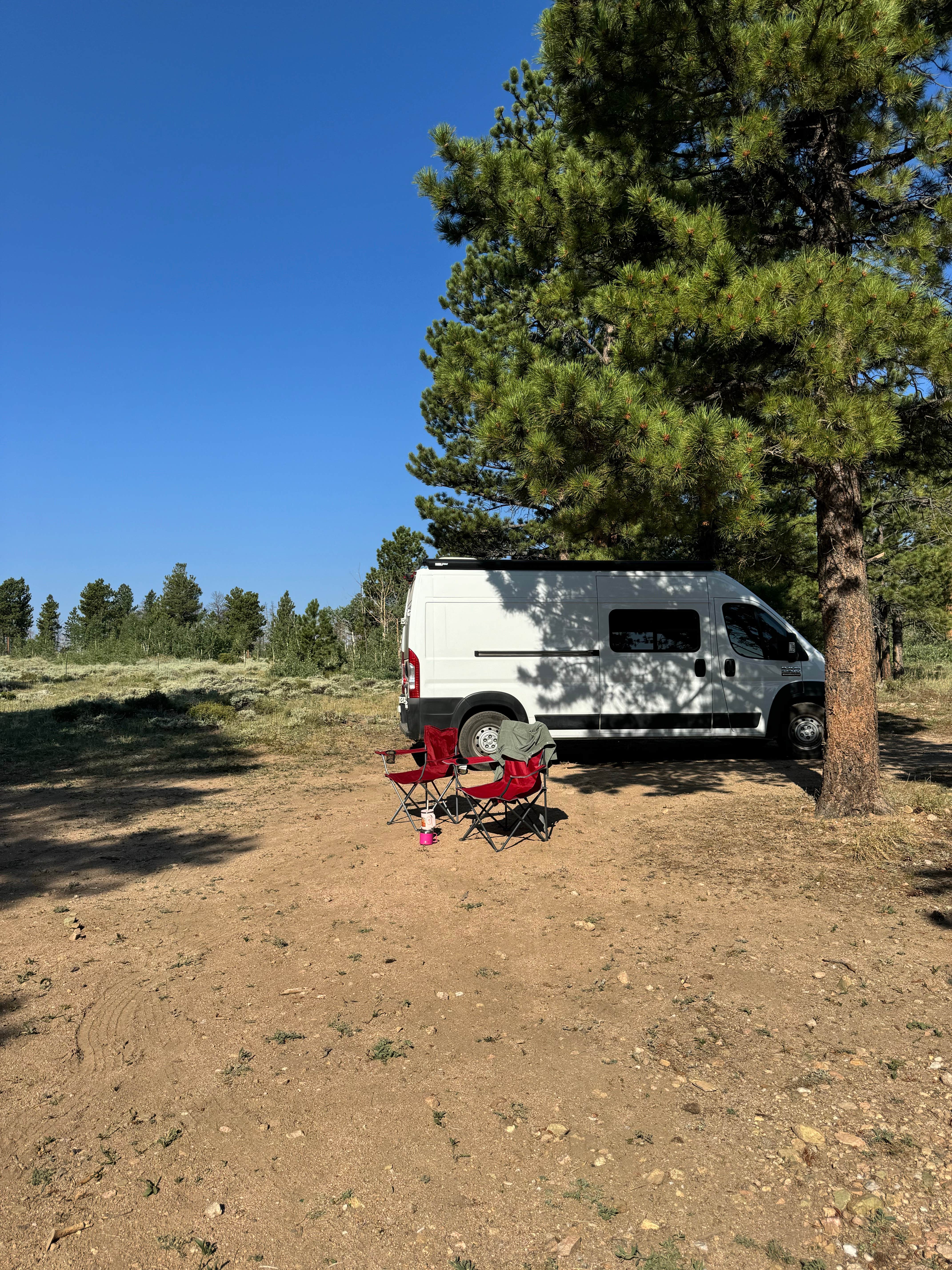 Camper submitted image from Manhattan Road Dispersed Camping & OHV - 4