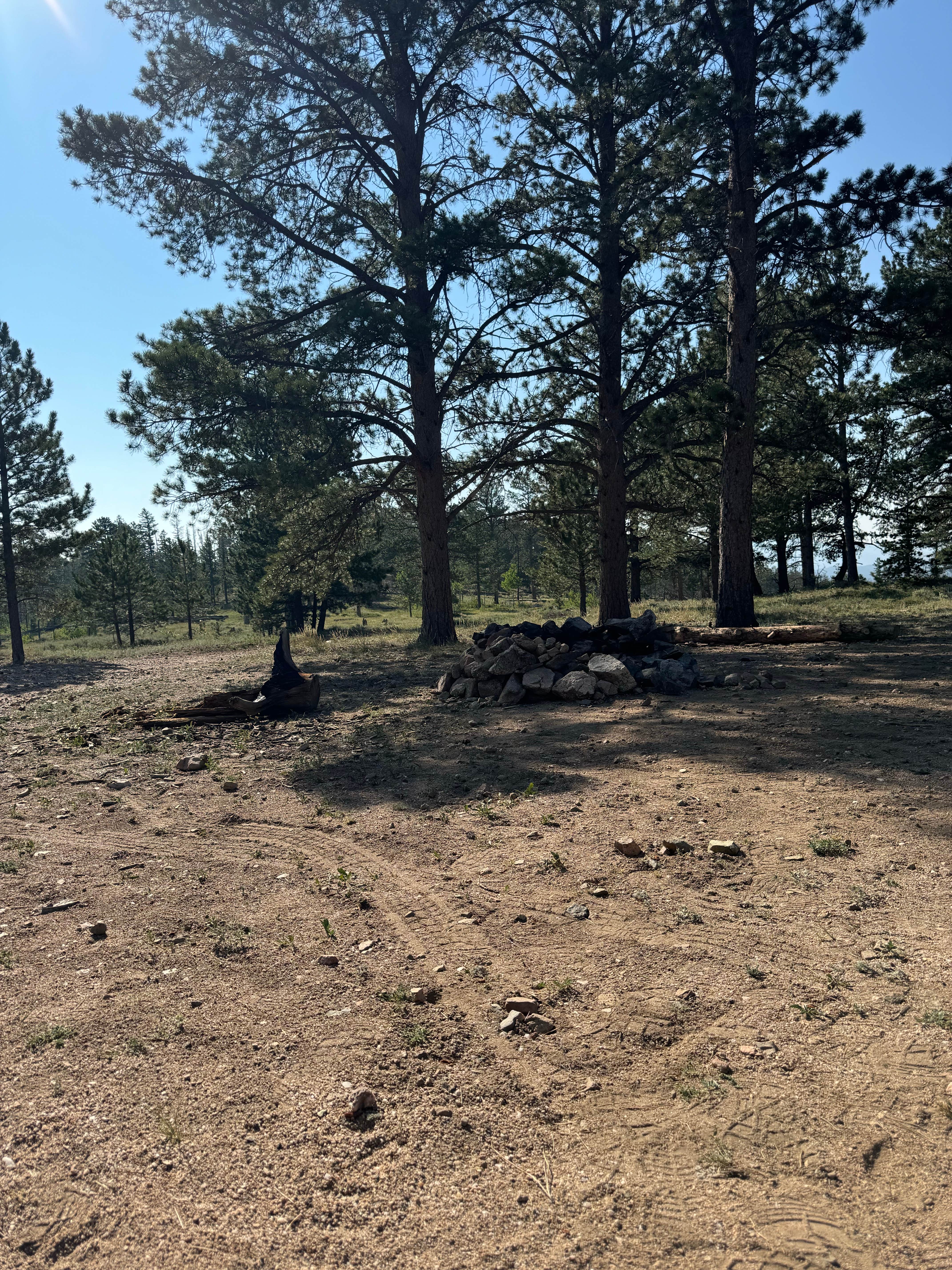 Camper-submitted photo at Manhattan Road Dispersed Camping & OHV near Arapaho & Roosevelt National Forests Pawnee NG