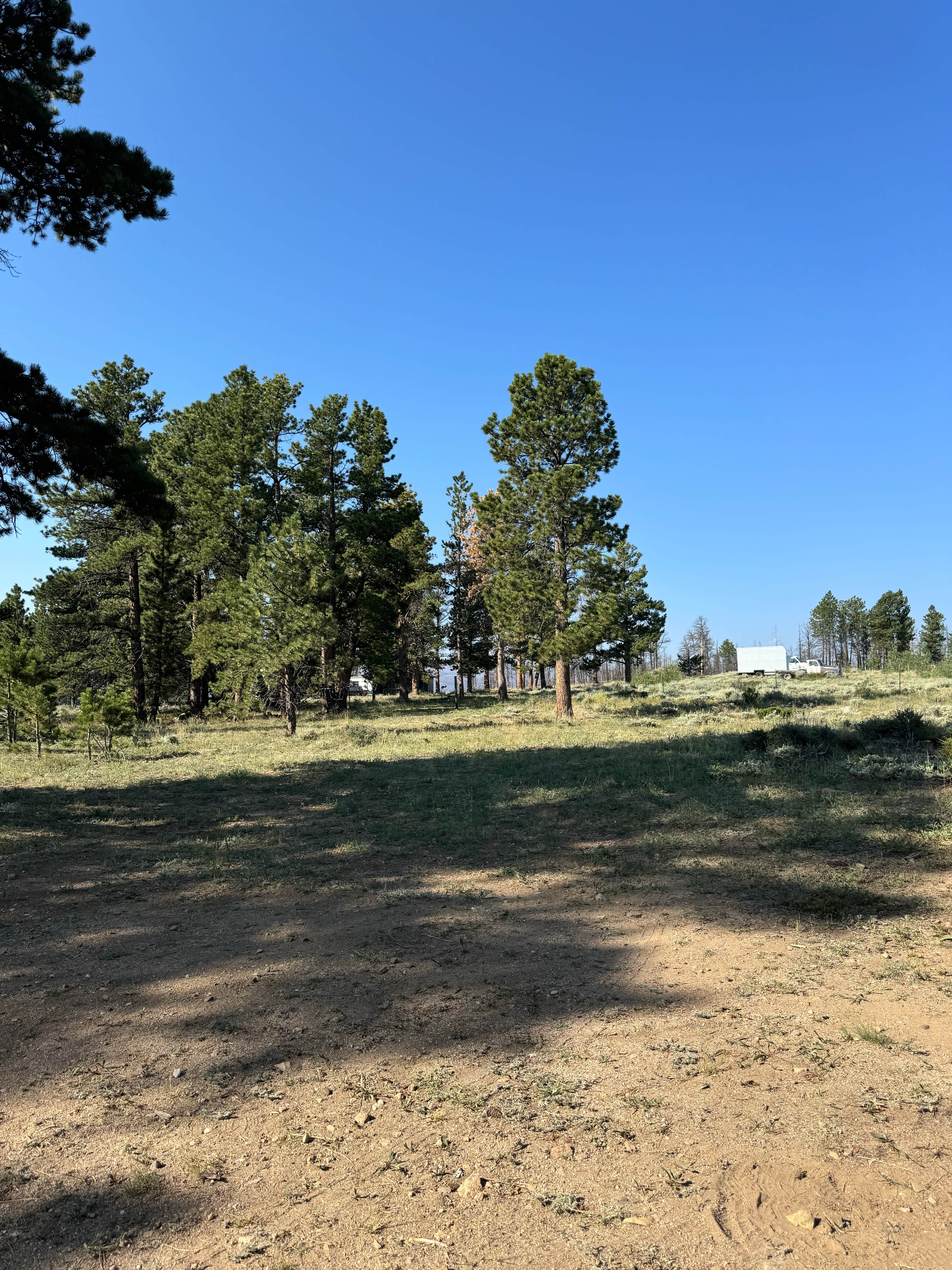 Camping near Fire Route 309: Manhattan Road Dispersed Camping & OHV, Red Feather Lakes, Colorado