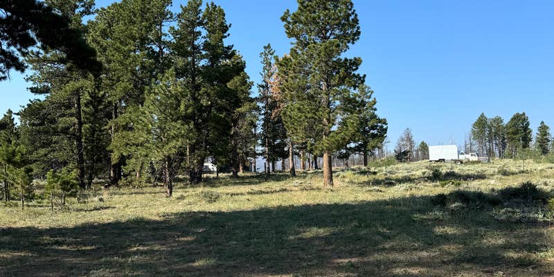 Camper submitted image from Manhattan Road Dispersed Camping & OHV