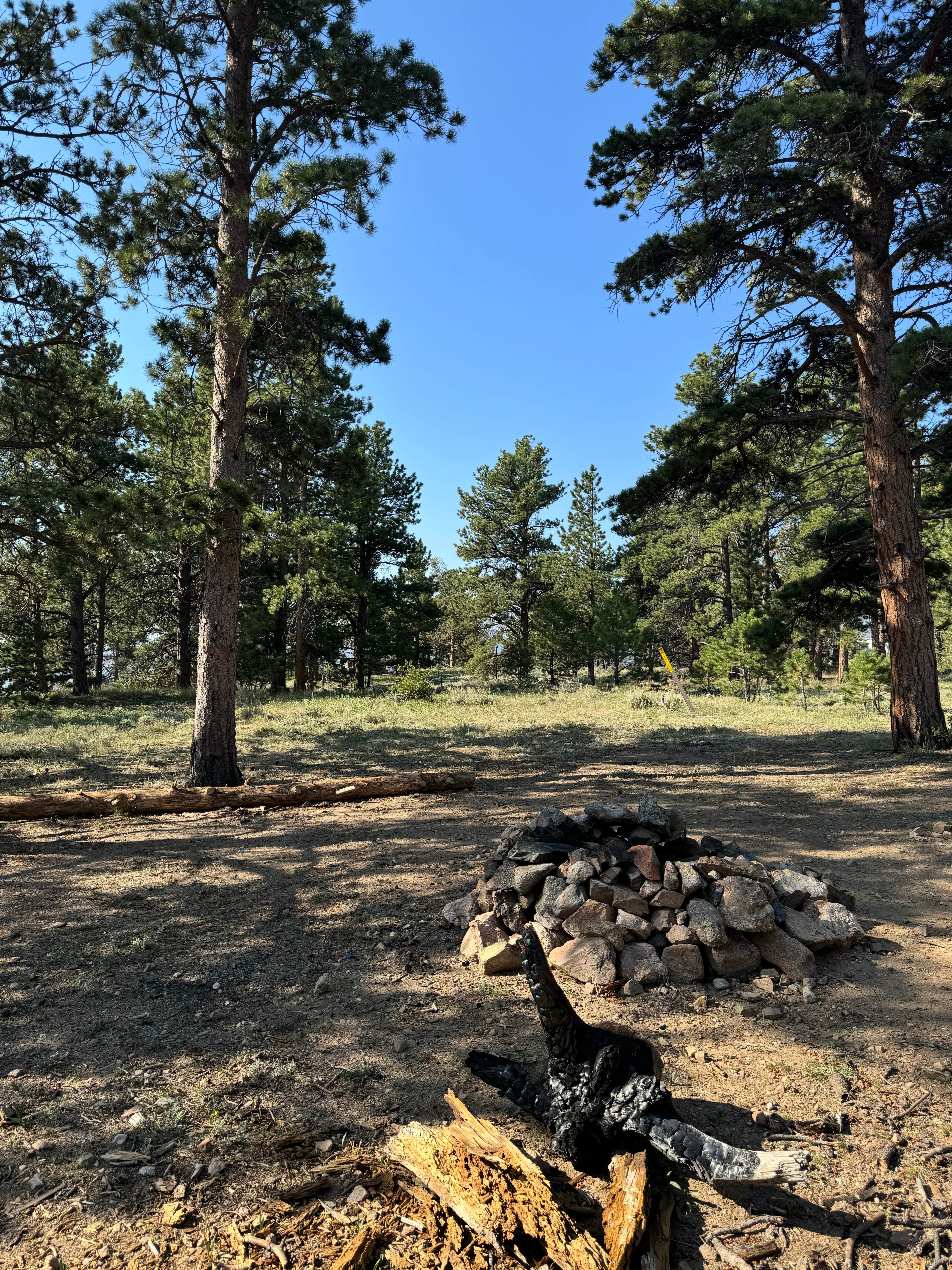 Camper-submitted photo at Manhattan Road Dispersed Camping & OHV near Arapaho & Roosevelt National Forests Pawnee NG