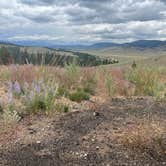 Review photo of Nip and Tuck Rd - Dispersed Camping by Jennifer G., July 22, 2025