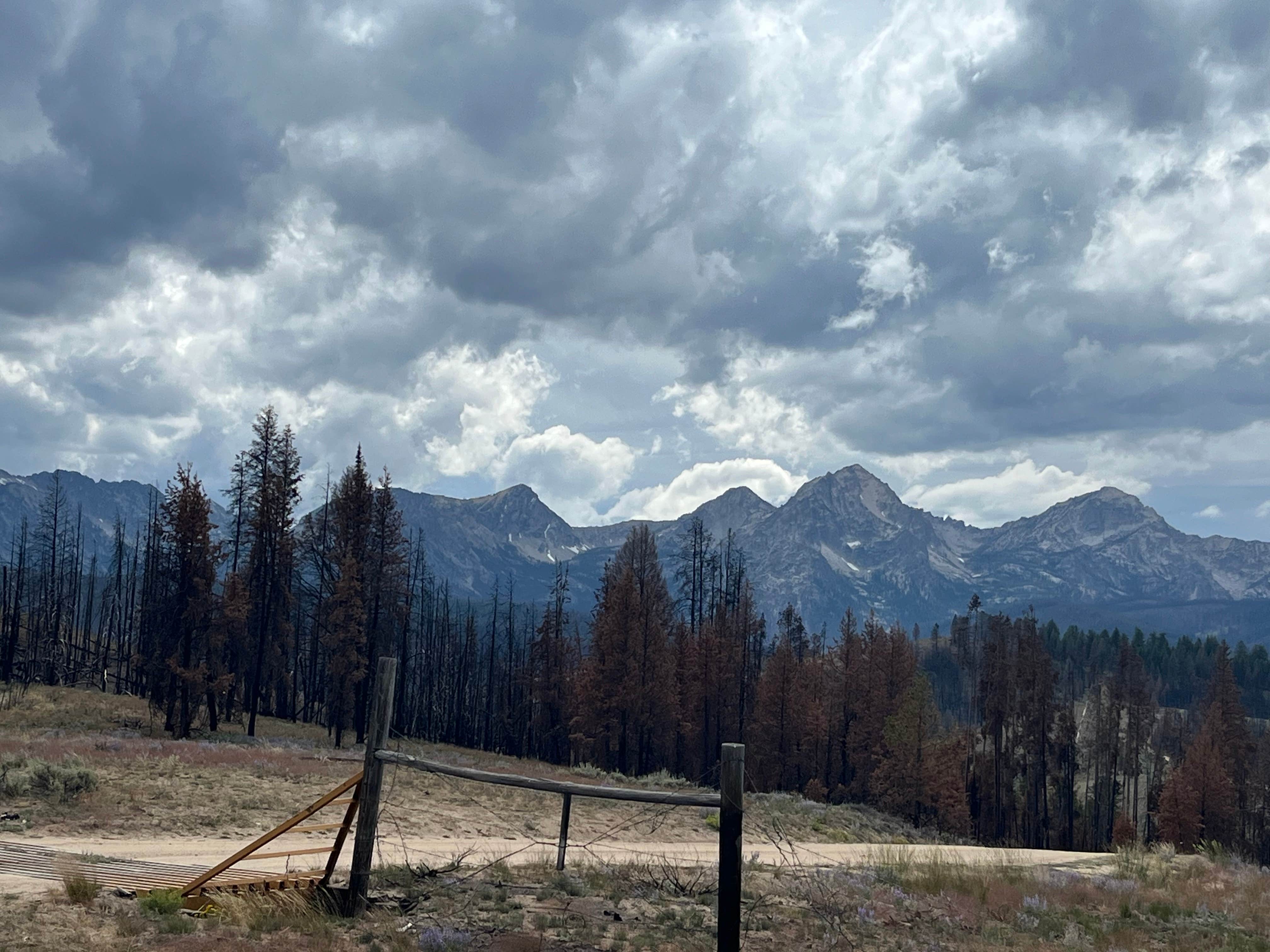 Camper-submitted photo at Nip and Tuck Rd - Dispersed Camping near Stanley, ID