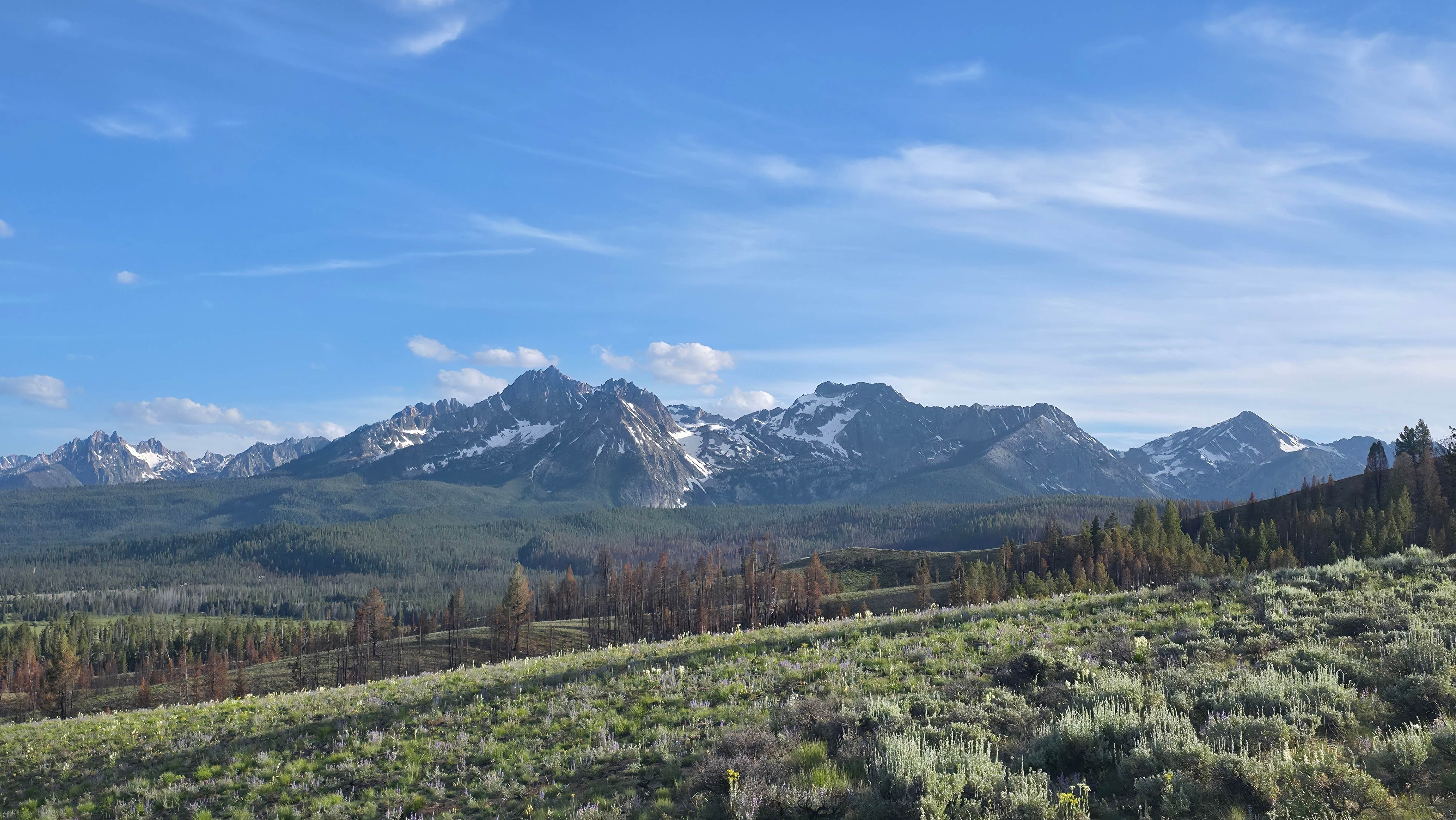 Camper-submitted photo at Nip and Tuck Rd - Dispersed Camping near Stanley, ID