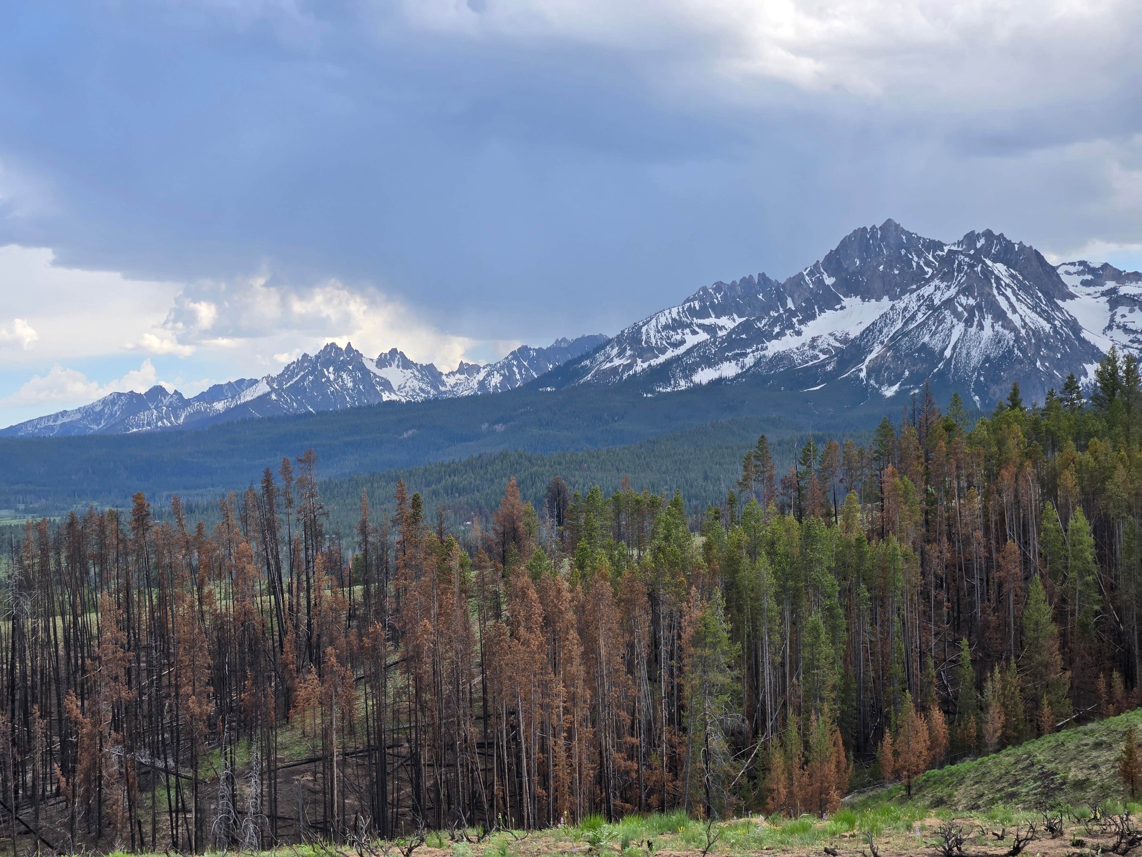 Camper-submitted photo at Nip and Tuck Rd - Dispersed Camping near Stanley, ID
