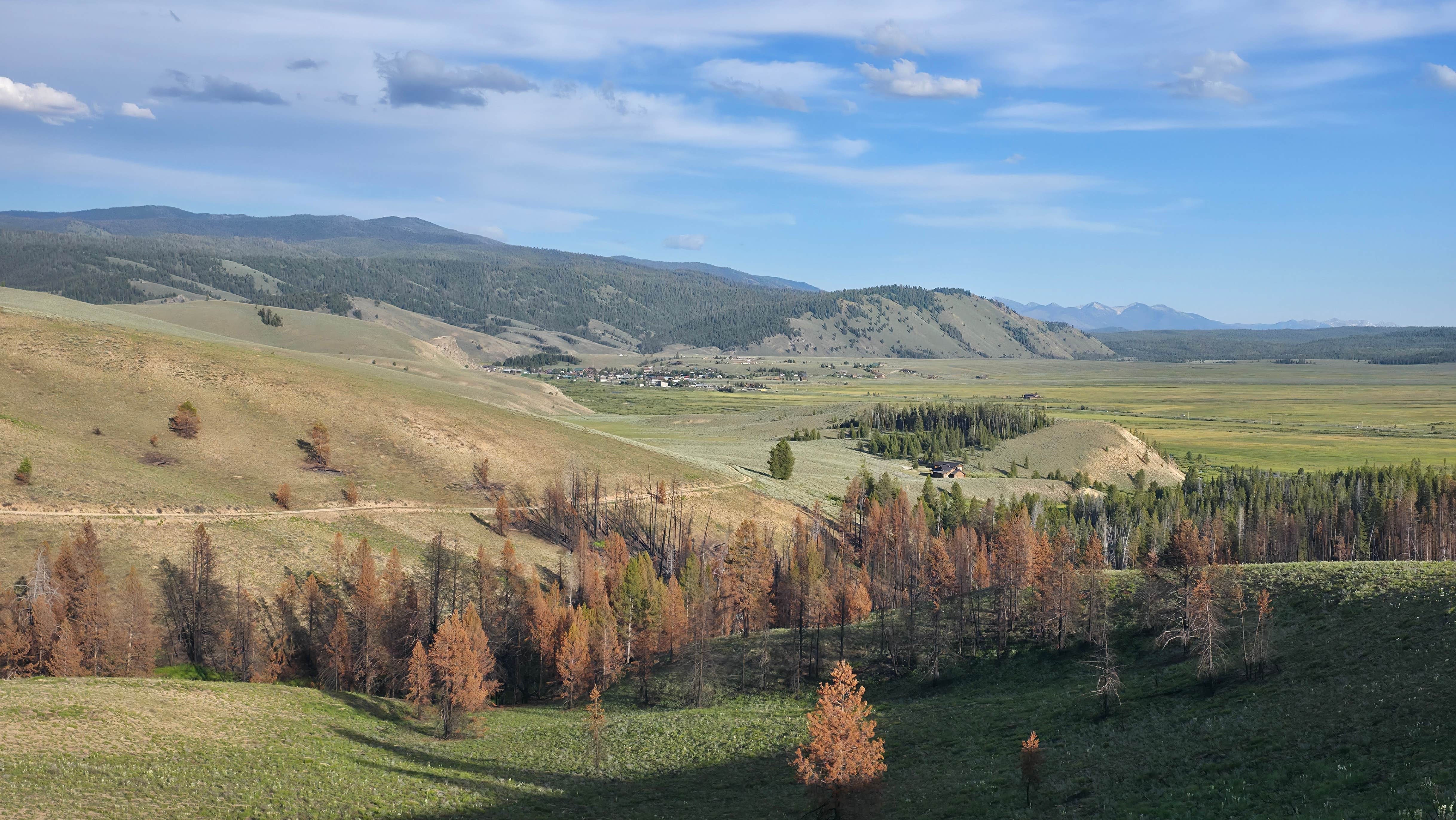 Camper-submitted photo at Nip and Tuck Rd - Dispersed Camping near Stanley, ID