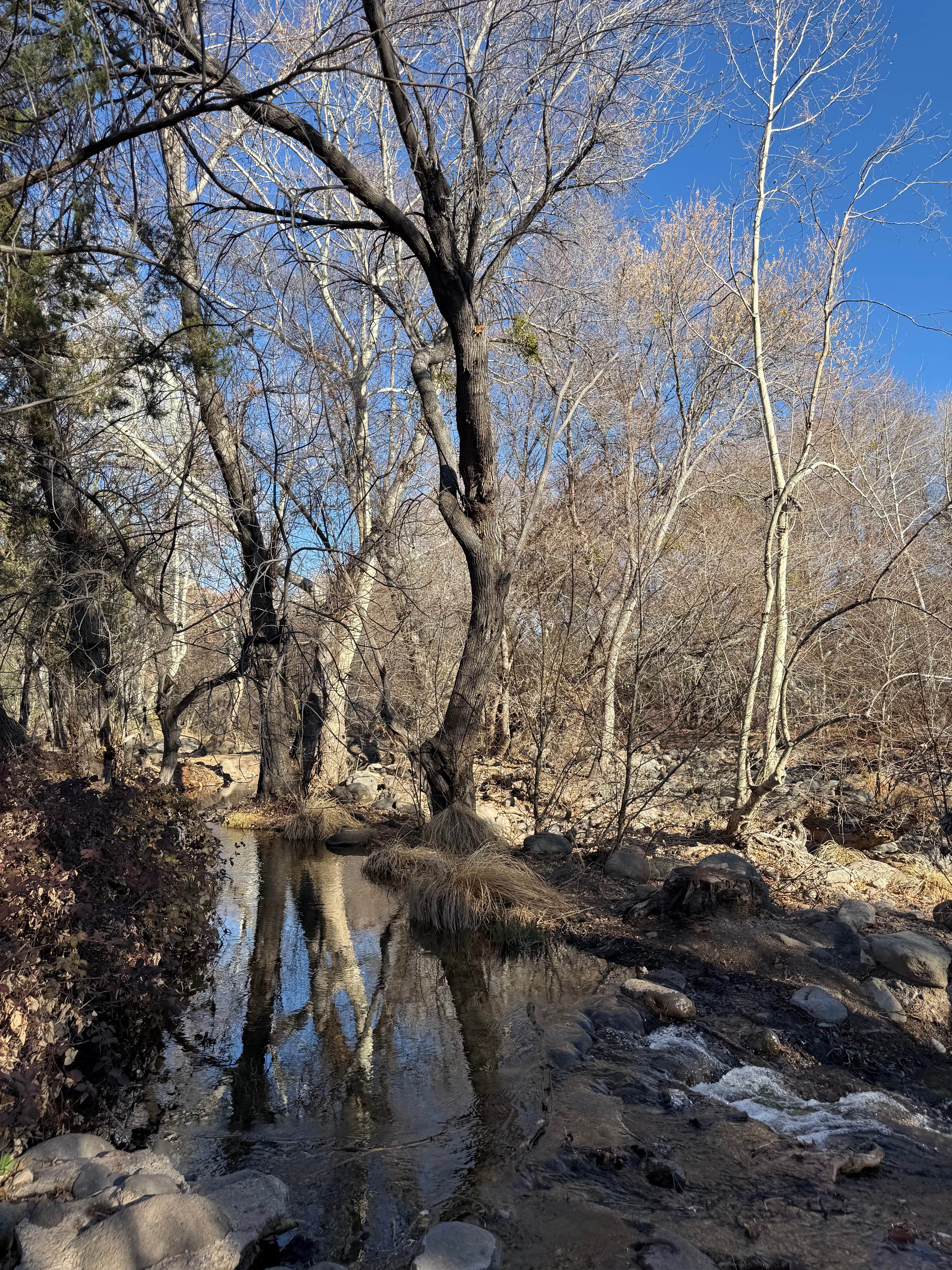 Camping near Forest Road 618 Loop: Dispersed Camping over Wet Beaver and Lawrence Campground, Rimrock, Arizona