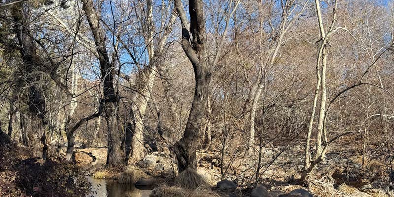 Camper submitted image from Dispersed Camping over Wet Beaver and Lawrence Campground