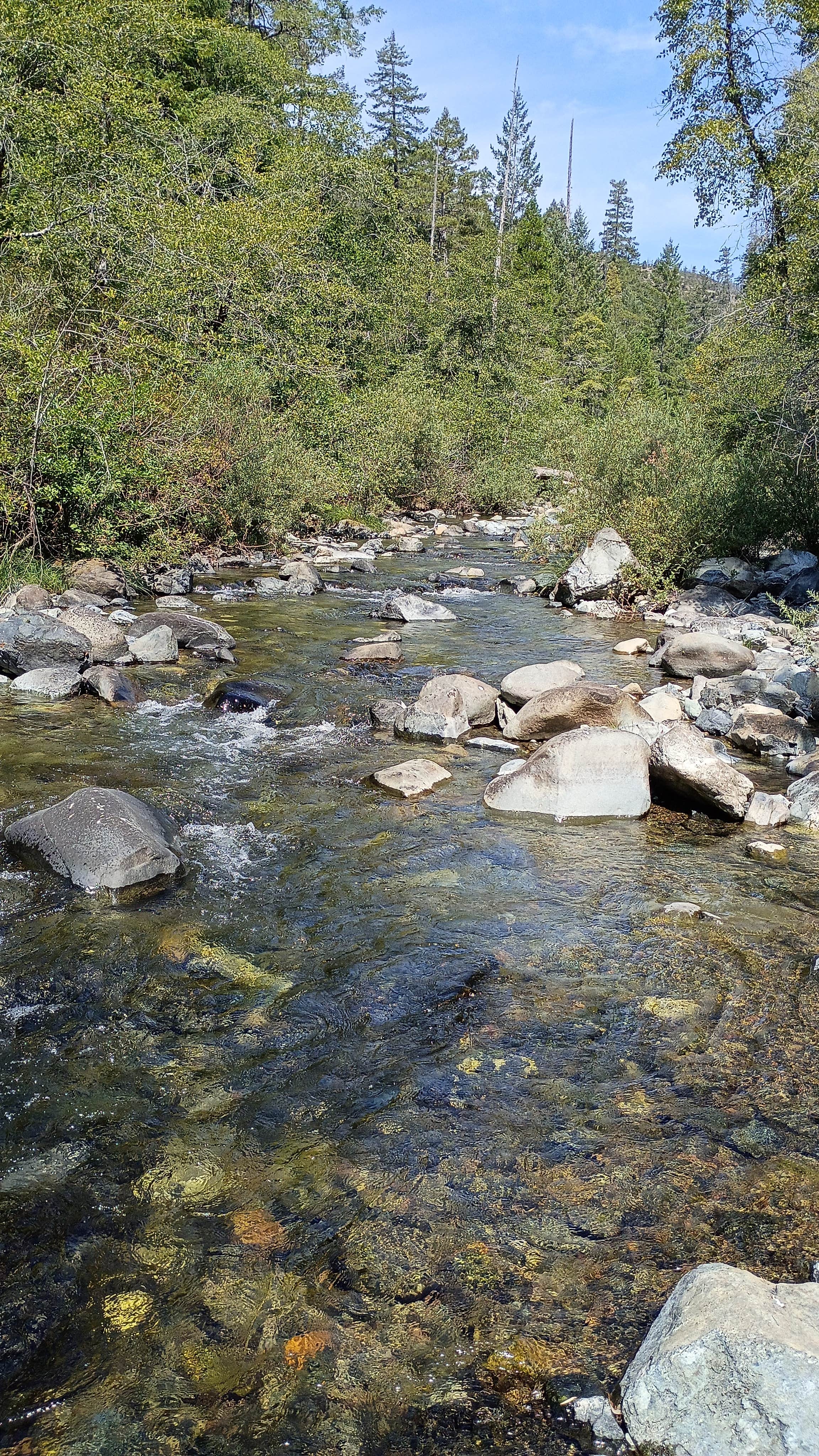 Camper-submitted photo at Patrick Creek Dispersed Campsite near O'Brien, OR