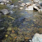 Review photo of Patrick Creek Dispersed Campsite by Glen B., August 15, 2026