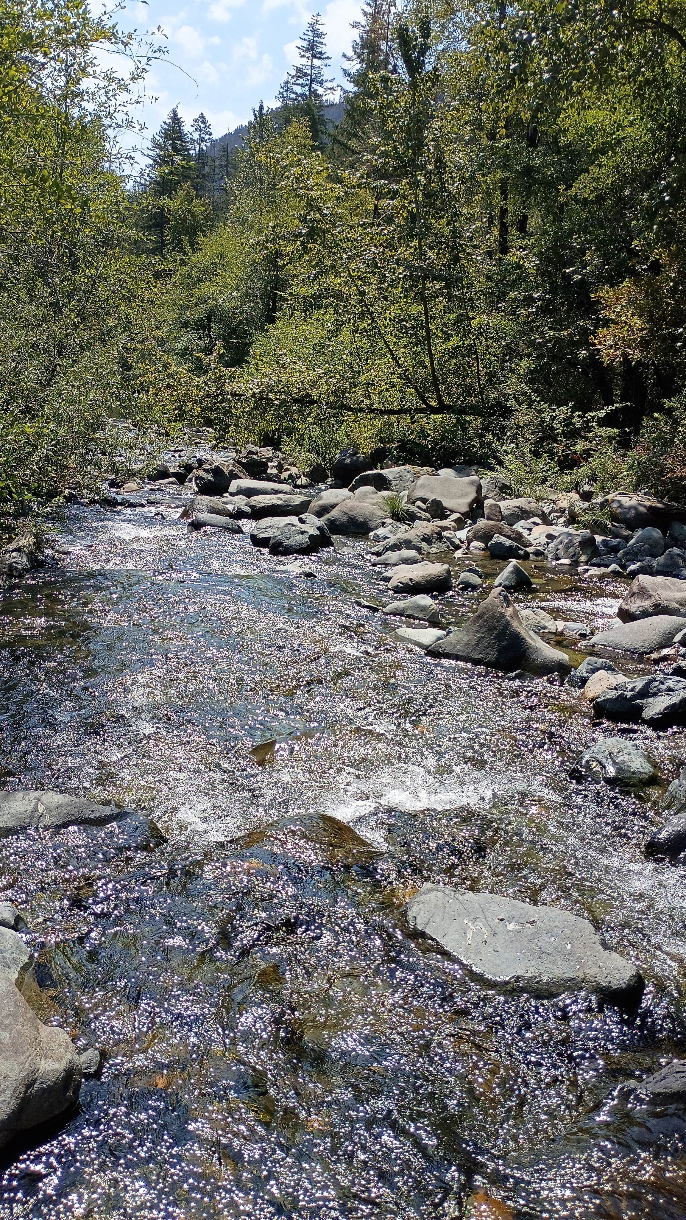 Camper-submitted photo at Patrick Creek Dispersed Campsite near O'Brien, OR