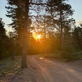 Review photo of Dispersed Camping - Pike National Forest Divide by Cam P., July 18, 2024