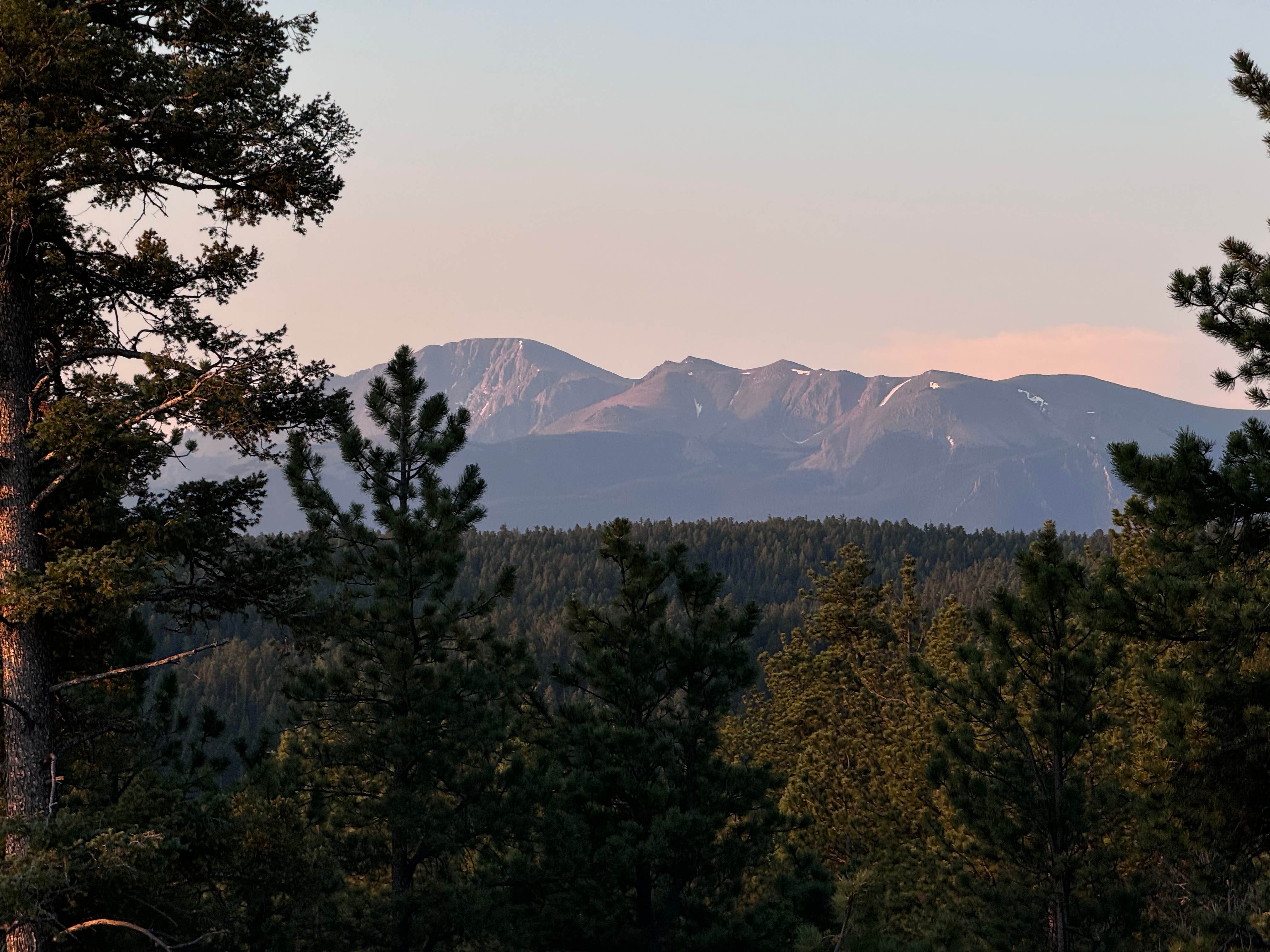 Camper-submitted photo at Dispersed Camping - Pike National Forest Divide near Larkspur, CO