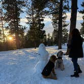 Review photo of Dispersed Camping - Pike National Forest Divide by andrew G., November 10, 2024