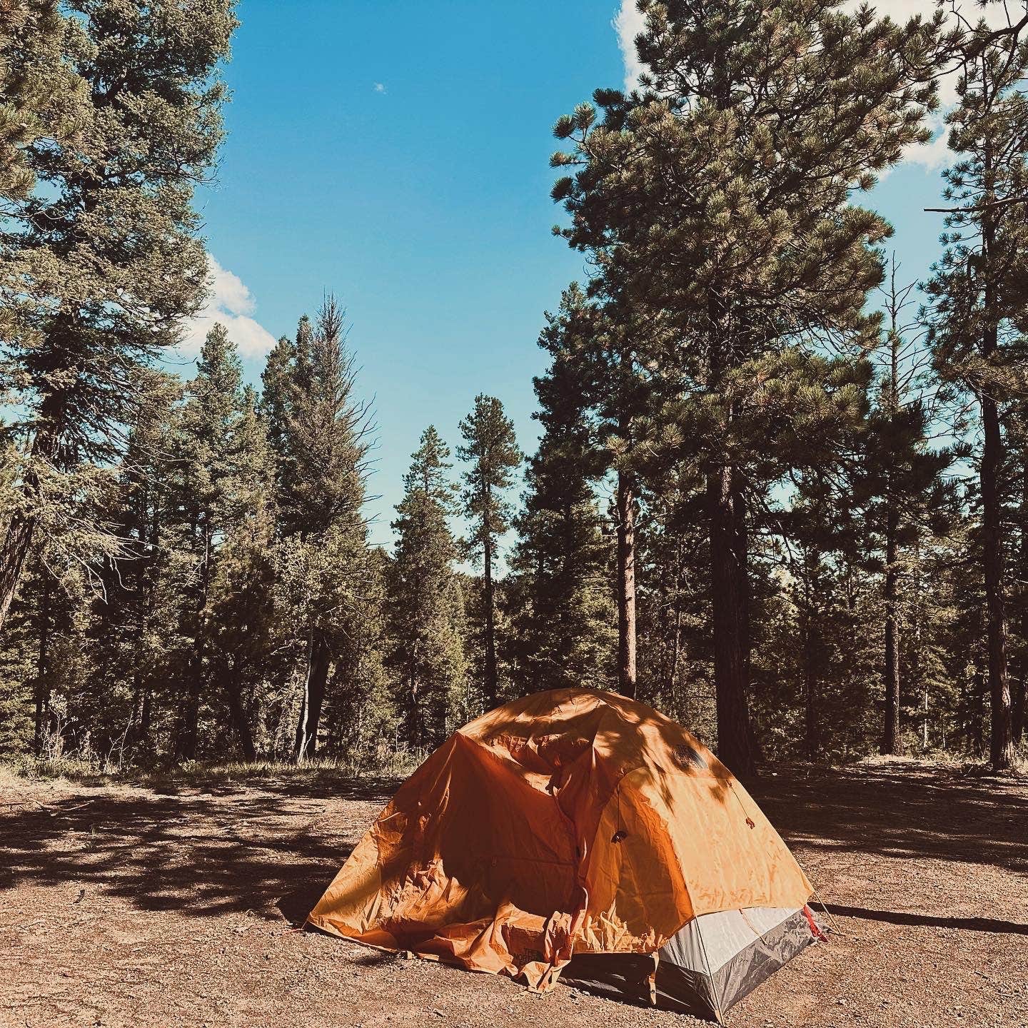 Camper-submitted photo at Dispersed Camping - Pike National Forest Divide near Larkspur, CO