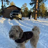 Review photo of Dispersed Camping - Pike National Forest Divide by andrew G., November 10, 2024