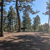Review photo of Dispersed Camping - Pike National Forest Divide by Brianna K., May 27, 2024