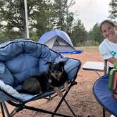 Review photo of Dispersed Camping - Pike National Forest Divide by Cam P., July 18, 2024