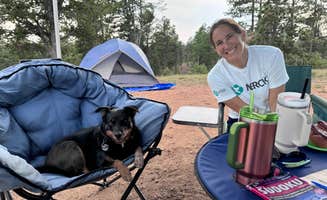 Cam P.'s photo of camping with pets at Dispersed Camping - Pike National Forest Divide near Green Mountain Falls, CO