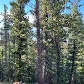 Review photo of Dispersed Camping - Pike National Forest Divide by Linnell W., September 23, 2024