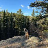 Review photo of Dispersed Camping - Pike National Forest Divide by Brianna K., May 27, 2024