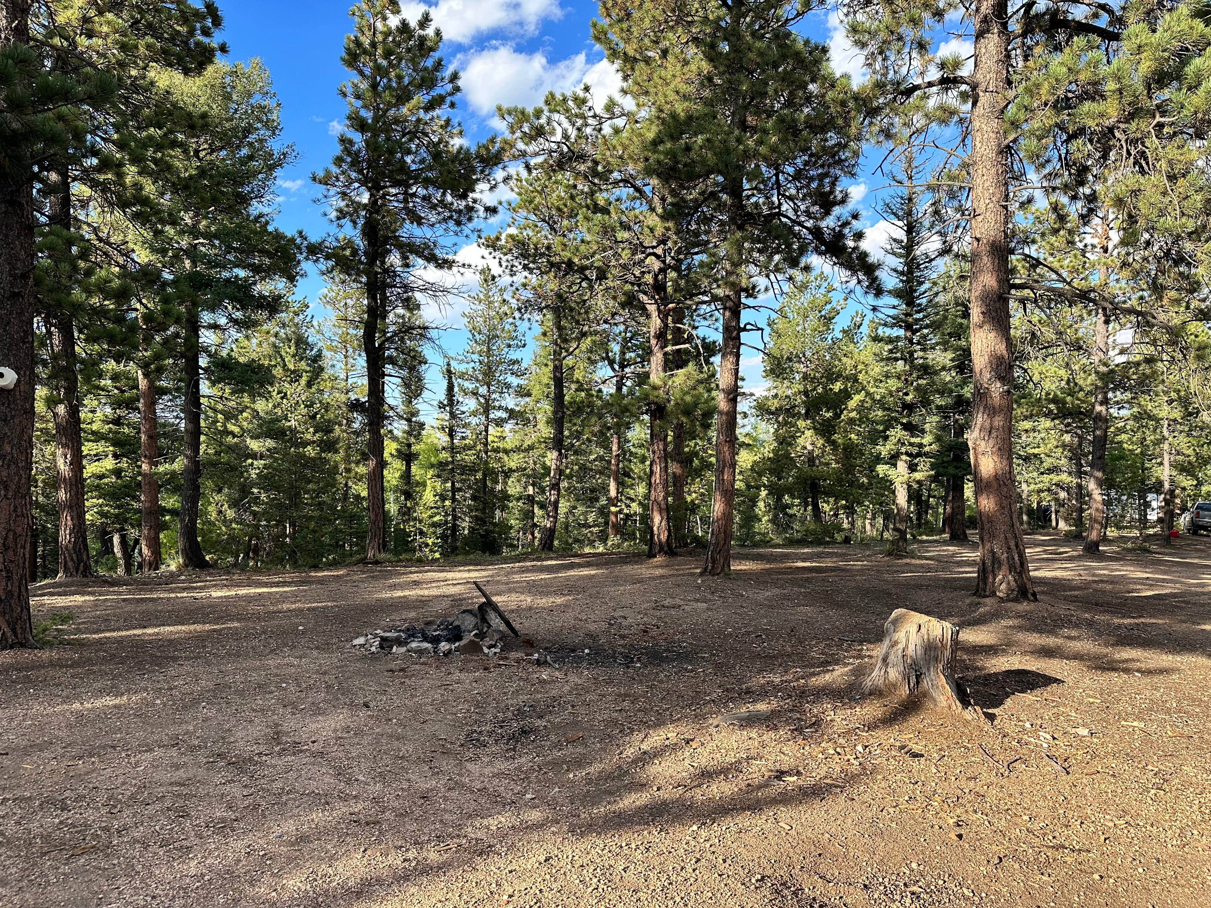 Camper-submitted photo at Dispersed Camping - Pike National Forest Divide near Larkspur, CO