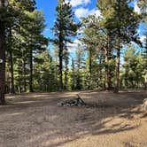 Review photo of Dispersed Camping - Pike National Forest Divide by Linnell W., September 23, 2024