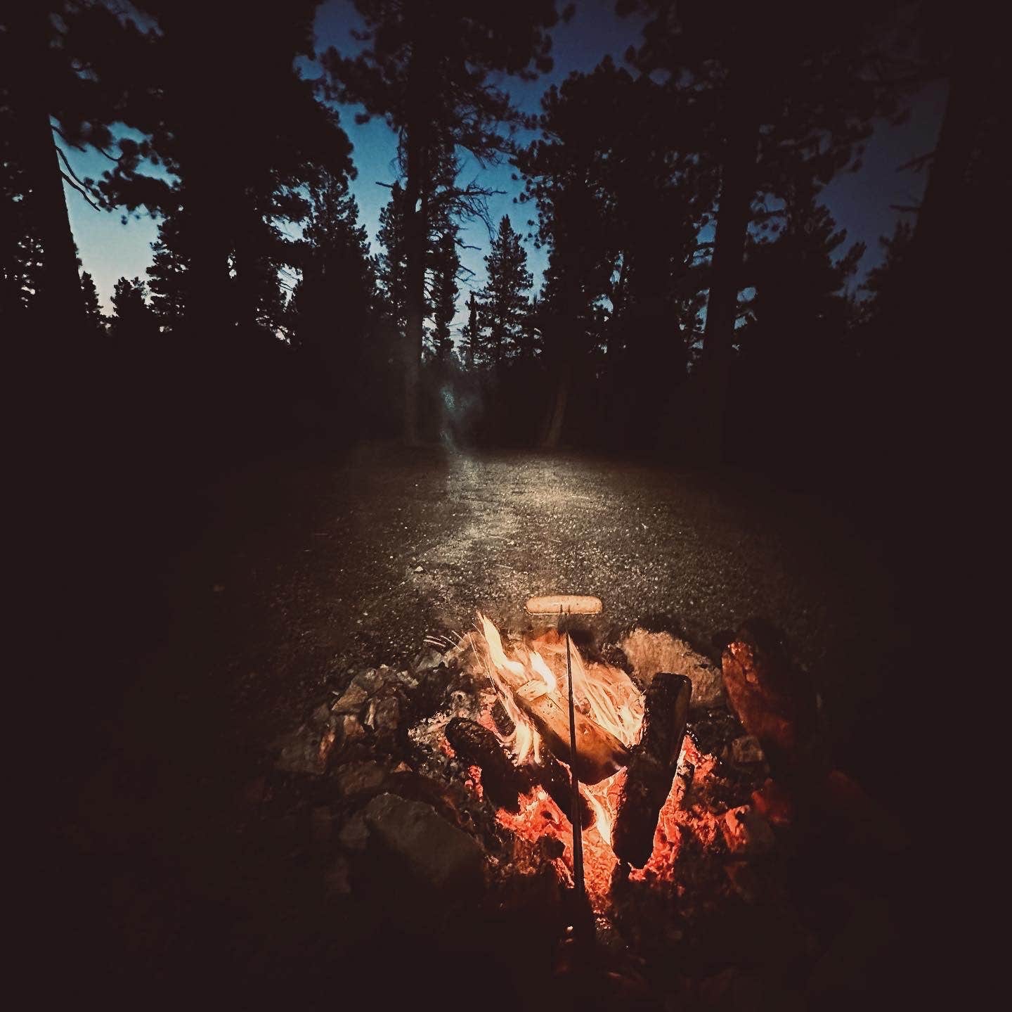 Camper-submitted photo at Dispersed Camping - Pike National Forest Divide near Larkspur, CO