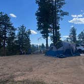 Review photo of Dispersed Camping - Pike National Forest Divide by Lily R., September 20, 2024