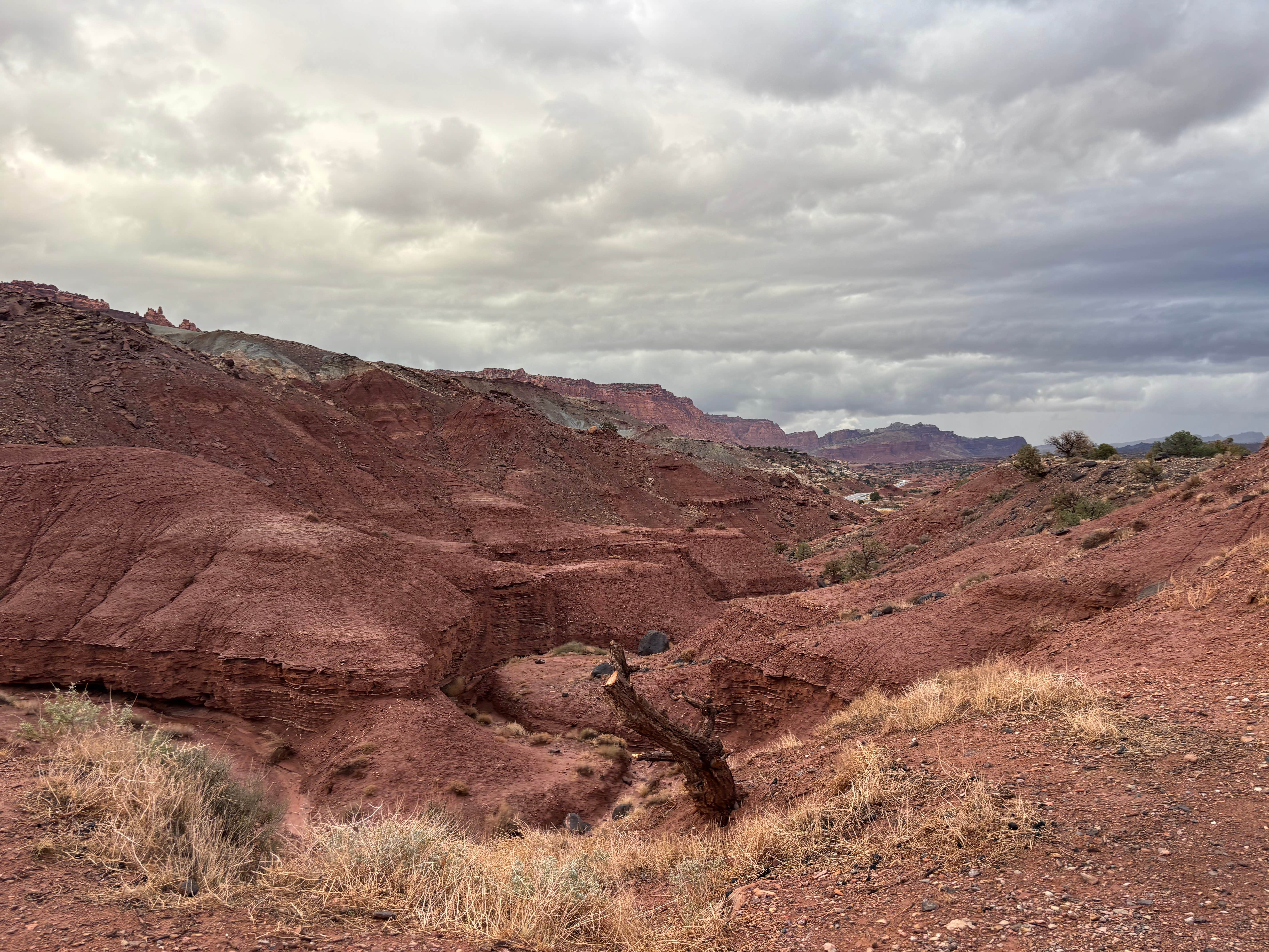 Camper submitted image from Dispersed Camping Route 24 - 2