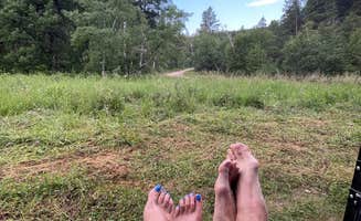 Angie A.'s photo of a dispersed camping area at Dispersed Camping near Calumet Road in South Dakota