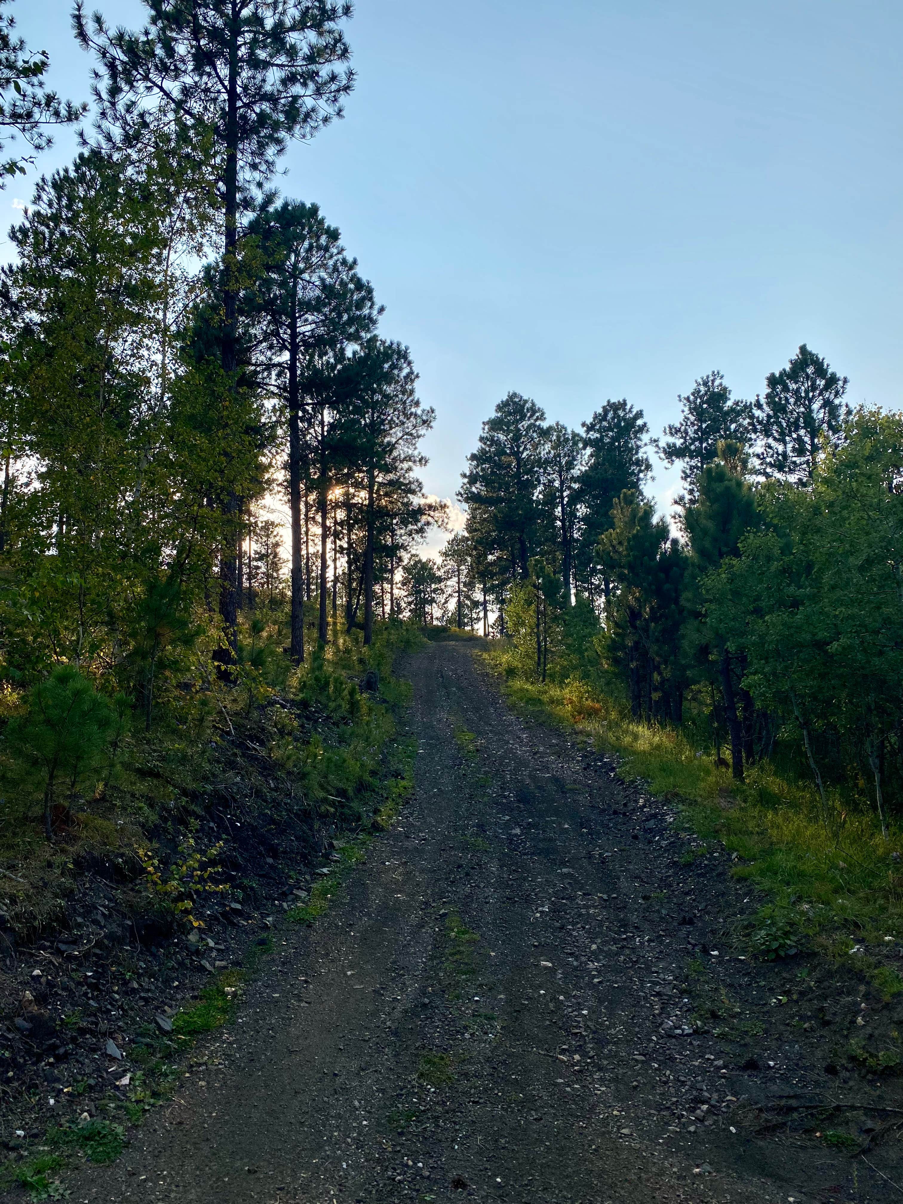 Kara S.'s photo of a dispersed camping area at Dispersed Camping near Calumet Road near Hot Springs, SD