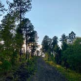 Review photo of Dispersed Camping near Calumet Road by Kara S., September 12, 2025