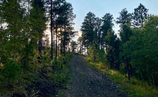 Kara S.'s photo of a dispersed camping area at Dispersed Camping near Calumet Road near Nemo, SD