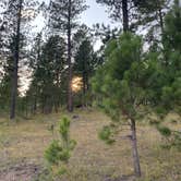 Review photo of Dispersed Camping near Calumet Road by Kara S., September 12, 2025