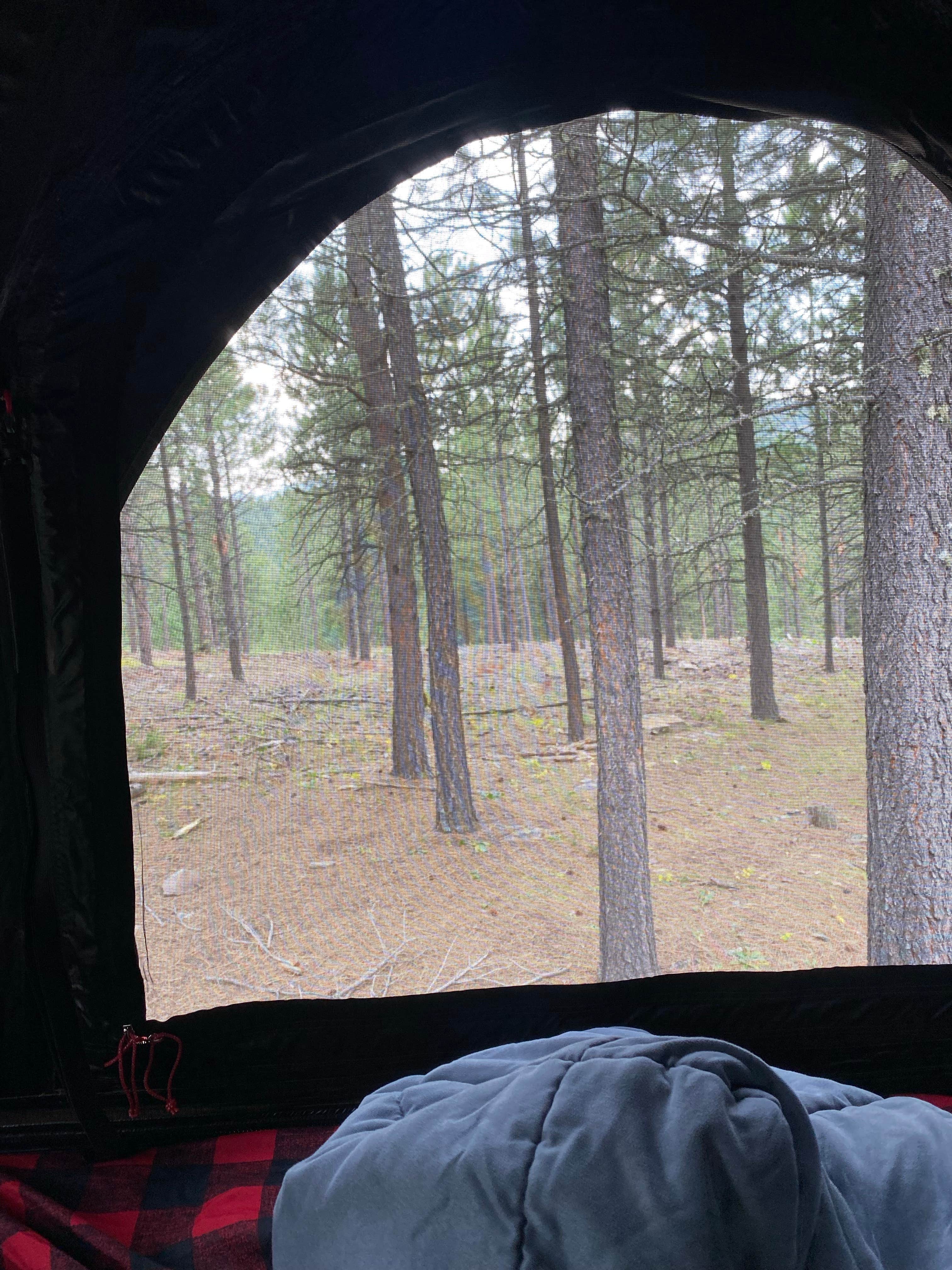 Camper submitted image from Dispersed Camping near Calumet Road - 1