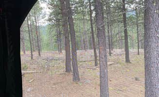 Kara S.'s photo at Dispersed Camping near Calumet Road near Keystone, SD