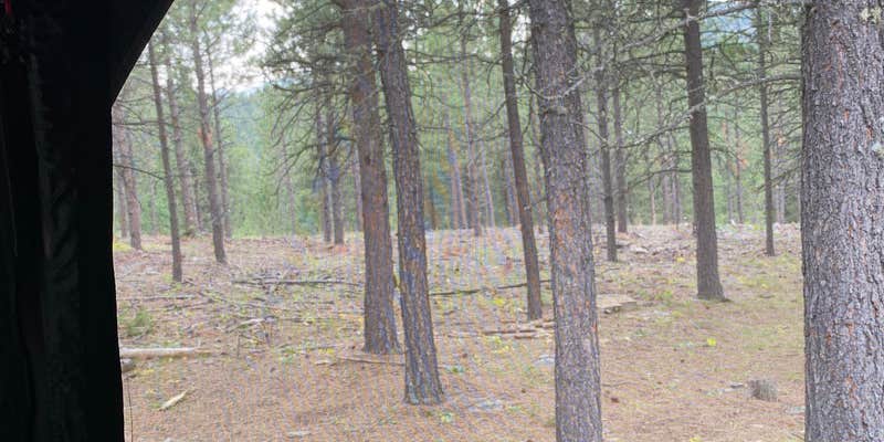 Camper submitted image from Dispersed Camping near Calumet Road