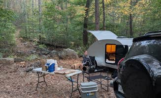 Rachael P.'s photo of camping with pets at Dispersed Camping Site off FR 812 near Montebello, VA