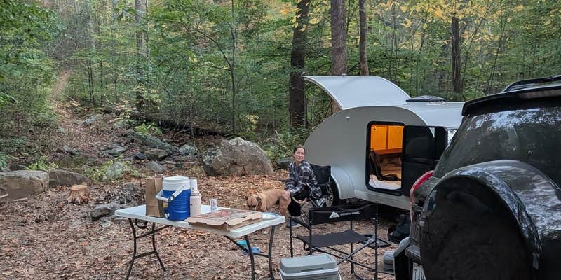 Camper submitted image from Dispersed Camping Site off FR 812