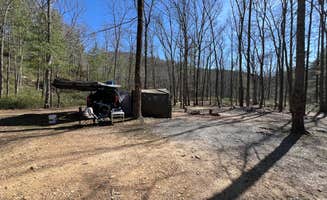 David B.'s photo of a dispersed camping area at Dispersed Camping Site off FR 812 near Augusta Springs, VA