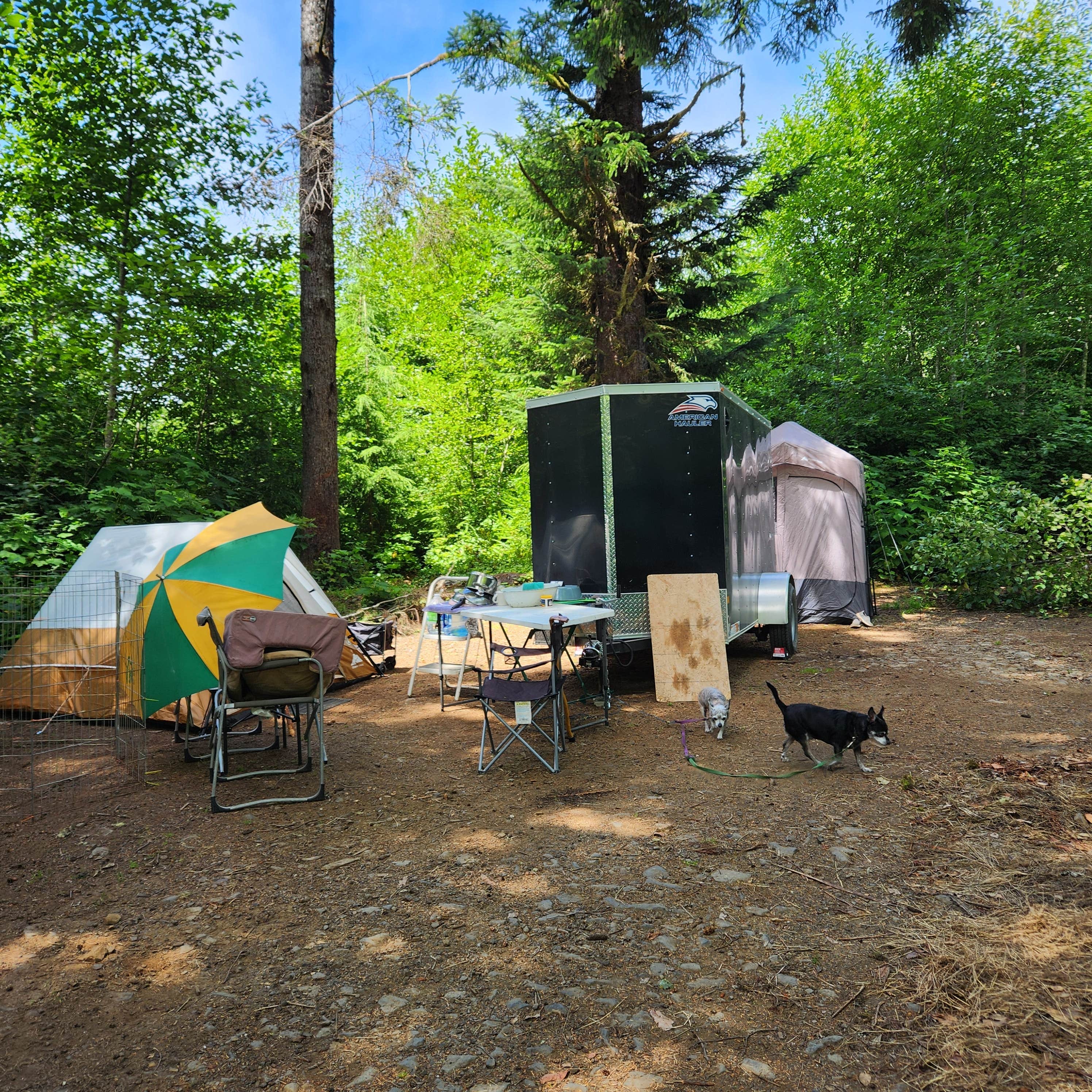 Camper-submitted photo at Dispersed camping Siuslaw NF near Blachly, OR