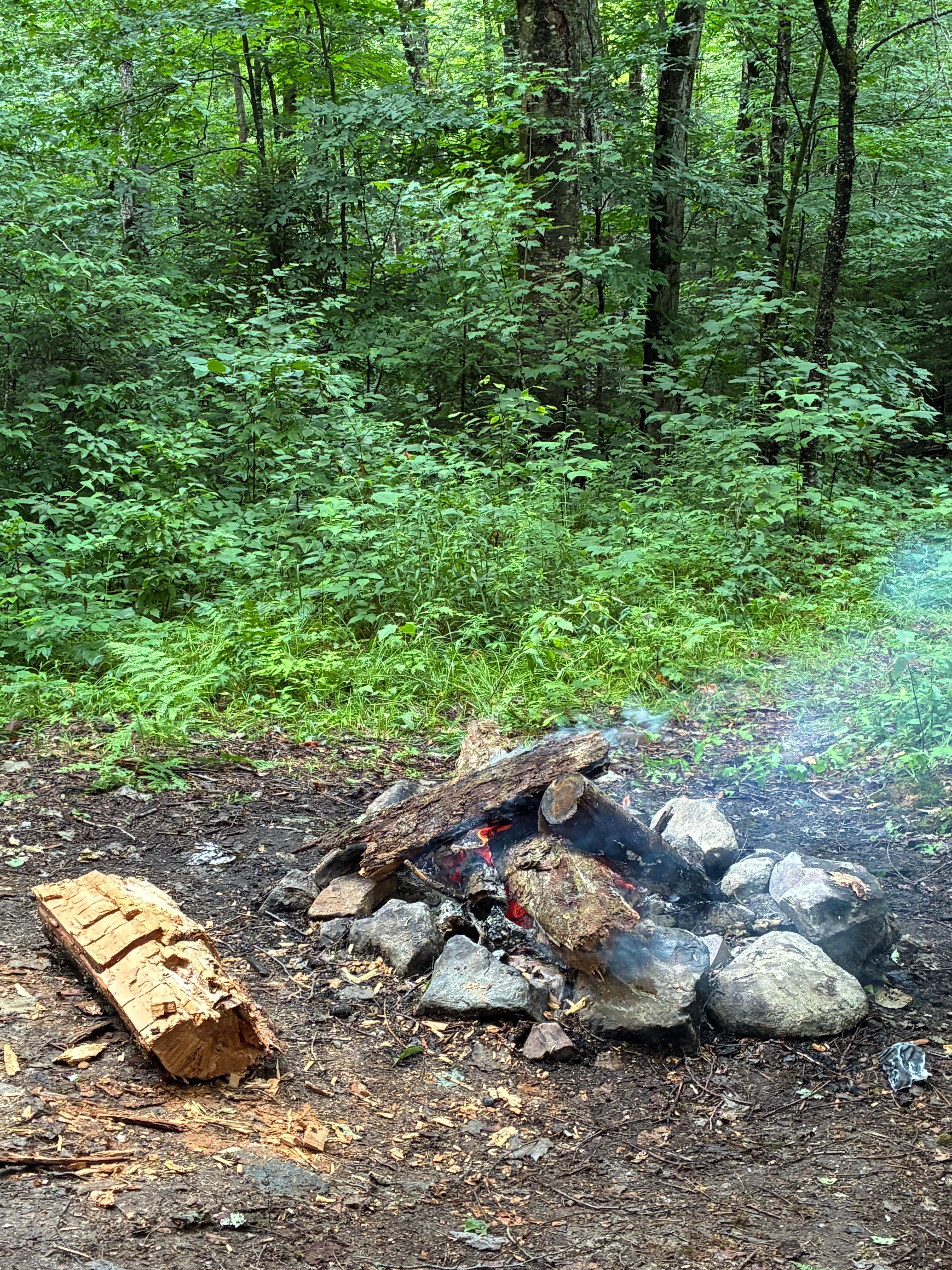 Camper-submitted photo at NFR 273 Dispersed Camping Spot near Greenfield, MA
