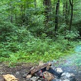 Review photo of NFR 273 Dispersed Camping Spot by Kyla M., July 30, 2026