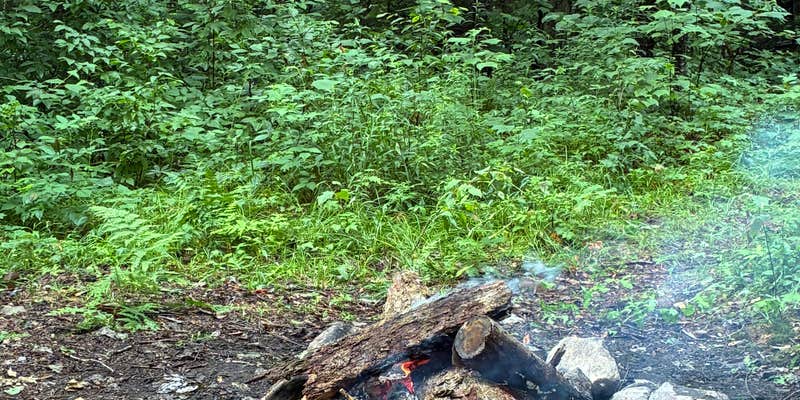 Camper submitted image from NFR 273 Dispersed Camping Spot