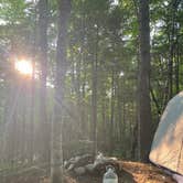 Review photo of NFR 273 Dispersed Camping Spot by Shannon C., August 14, 2026