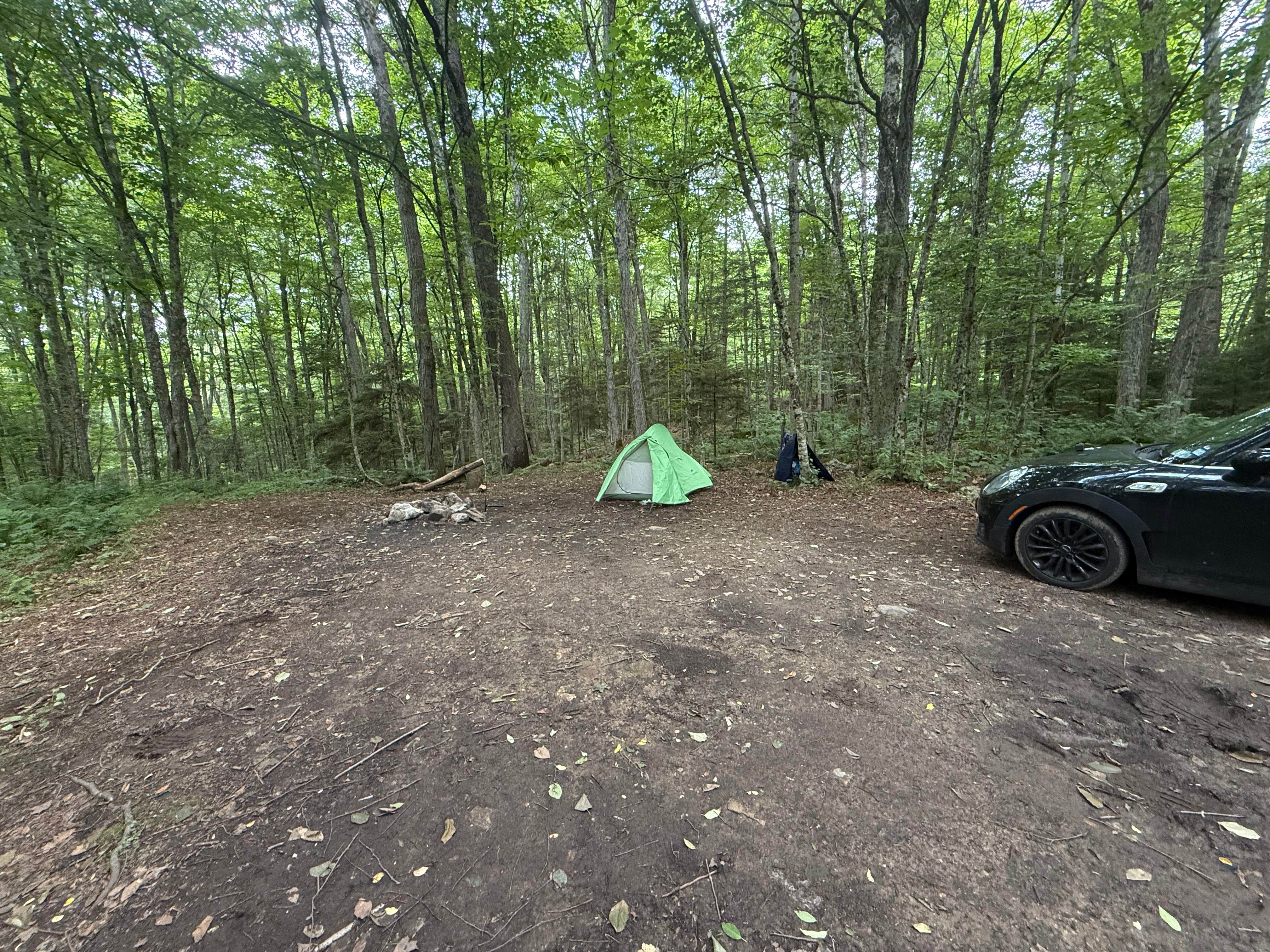 Will K.'s photo of a dispersed camping area at NFR 273 Dispersed Camping Spot near Bellows Falls, VT